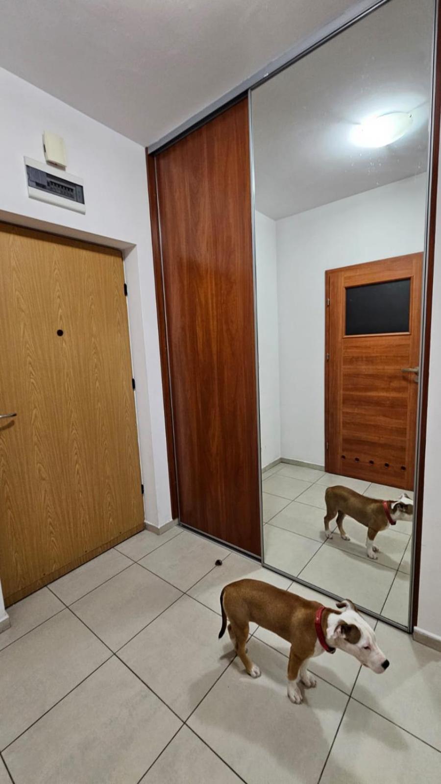 Apartament Lipinskiego Krakow Bagian luar foto