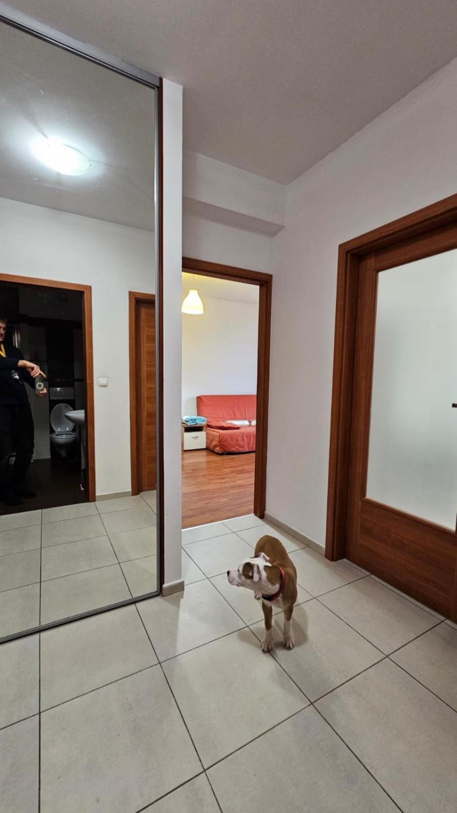 Apartament Lipinskiego Krakow Bagian luar foto