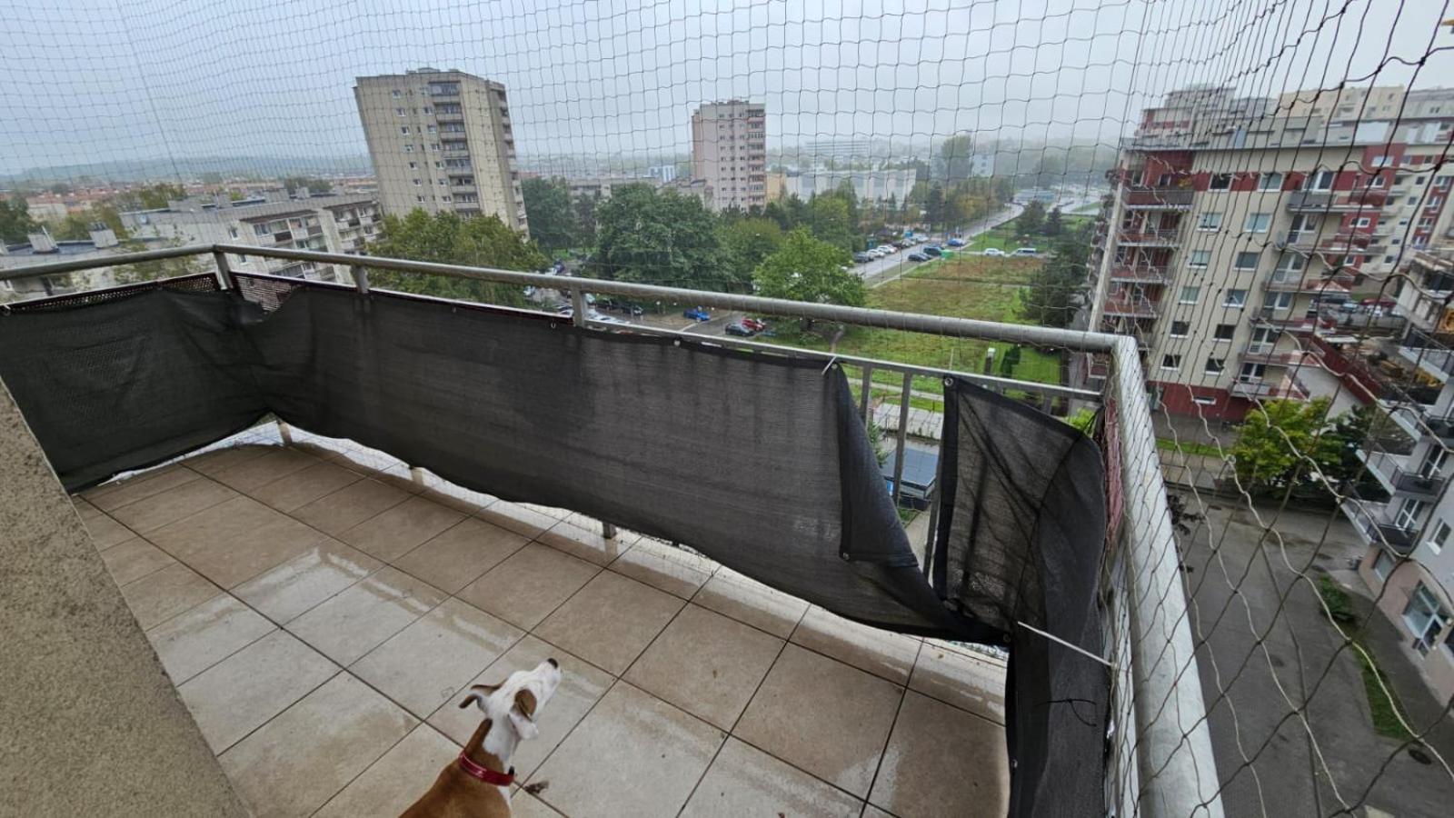 Apartament Lipinskiego Krakow Bagian luar foto